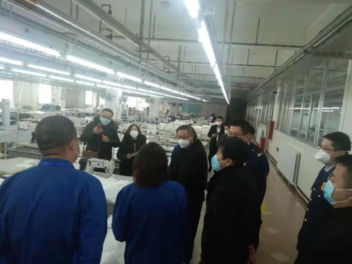 加強安全監管，助力疫情防控——自治區應急管理廳為防護用品生產企業提供專項安全指導服務